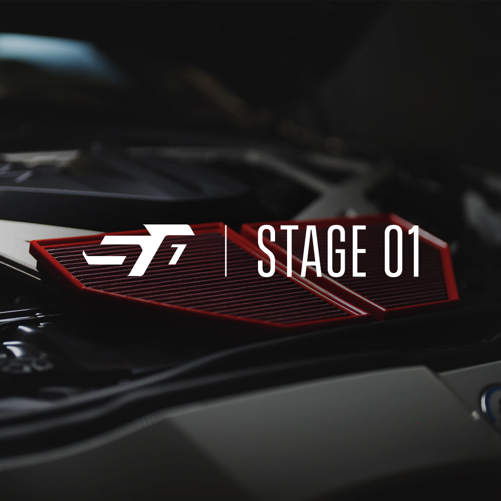 reprogrammation moteur stage 1 skoda rapid 2012 1.6 tdi cr 105ch 250nm