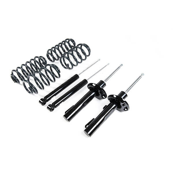 Kit Suspensions sport + ressorts Racing Line VWR30G8GT