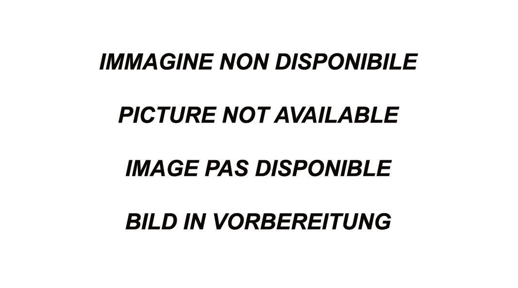 Catback INOXCAR CATBACK.56
