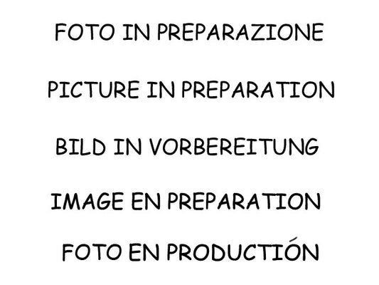 Silencieux arrière Ragazzon en inox (50.0981.30)