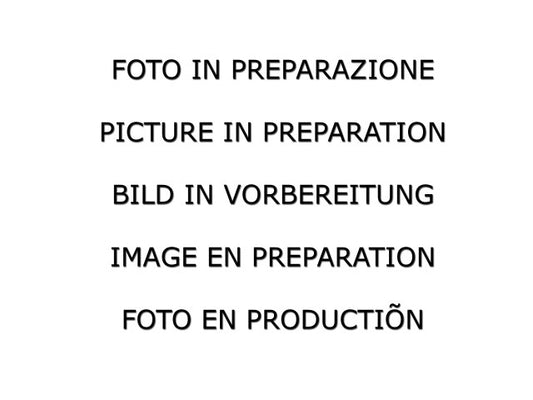 Silencieux arrière Ragazzon en inox (50.0982.30)